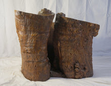Load image into Gallery viewer, Chinese Enhanced Burl Wood Tree Trunk Container
