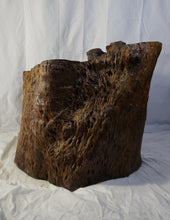 Load image into Gallery viewer, Chinese Enhanced Burl Wood Tree Trunk Container