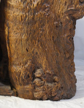 Load image into Gallery viewer, Chinese Enhanced Burl Wood Tree Trunk Container