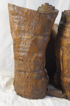 Load image into Gallery viewer, Chinese Enhanced Burl Wood Tree Trunk Container