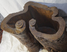 Load image into Gallery viewer, Chinese Enhanced Burl Wood Tree Trunk Container
