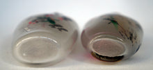 Load image into Gallery viewer, Snuff Bottle: Two Inside Painted Bottles with Insects and Butterflies