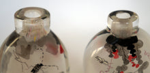 Load image into Gallery viewer, Snuff Bottle: Two Inside Painted Bottles with Insects and Butterflies