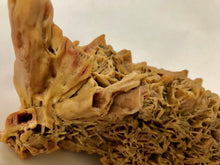 Load image into Gallery viewer, Scholar Object: A Small Yellow Desert Rose Scholar Rock on Wood Stand