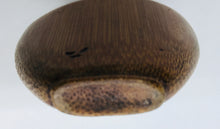 Load image into Gallery viewer, Snuff Bottle: Antique 1920's Bamboo Snuff Bottle