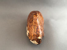 Load image into Gallery viewer, Chinese Antiquity: Amber Glaze Tang Dynasty Wild Boar