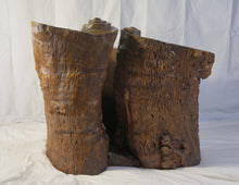 Load image into Gallery viewer, Chinese Enhanced Burl Wood Tree Trunk Container
