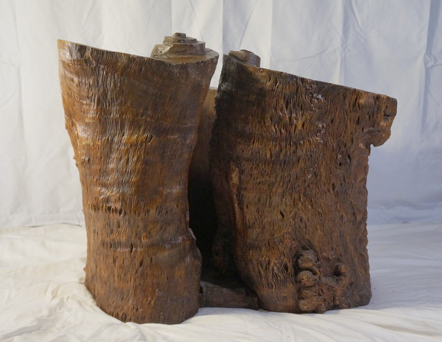Chinese Enhanced Burl Wood Tree Trunk Container