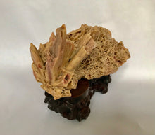 Load image into Gallery viewer, Scholar Object: A Small Yellow Desert Rose Scholar Rock on Wood Stand
